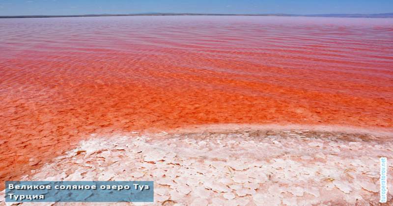 Великое соляное озеро Туз в Турции